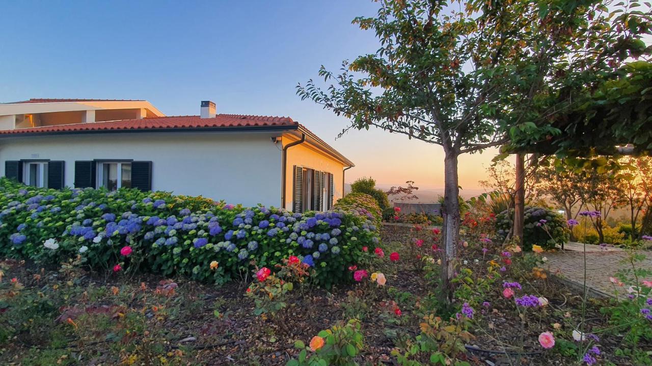 Coja Mountain Perch Villa Vinho  Exterior photo