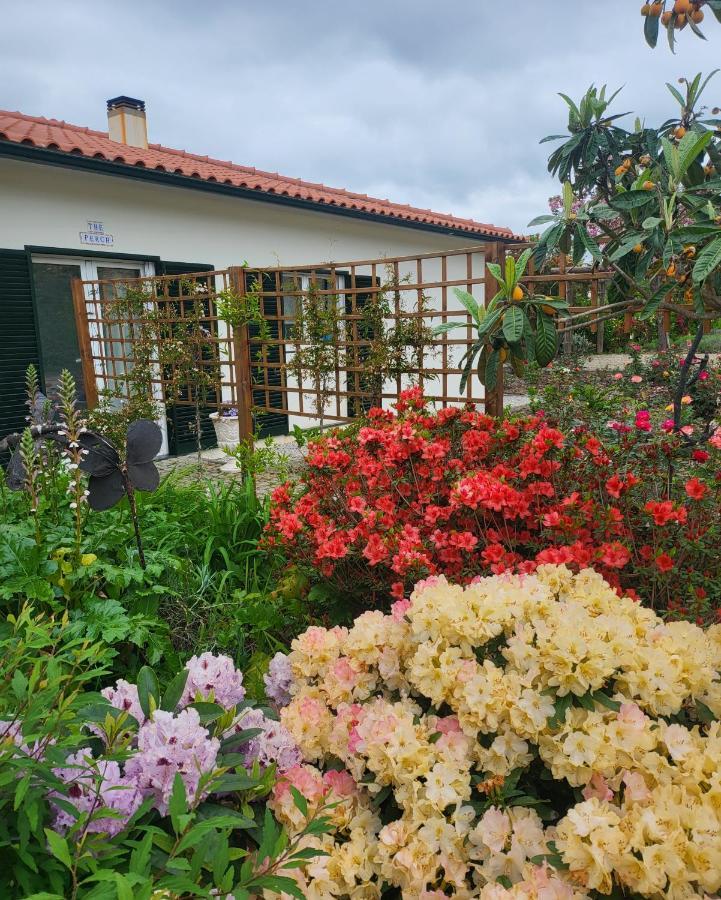 Coja Mountain Perch Villa Vinho  Exterior photo